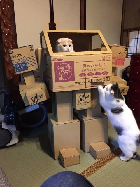 kyoryu_kuramo's tweet photo. おはようございます https://t.co/yMKBwimku9