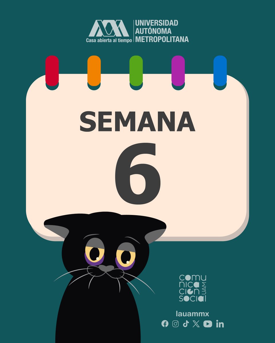 lauammx's tweet photo. 🗓️✨ ¡Éxito en la Semana 6!

#SoyUAM #Semana6 #CalendarioUAM https://t.co/UpWXpmGFOE