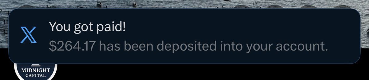 Midnight Capital tweet media