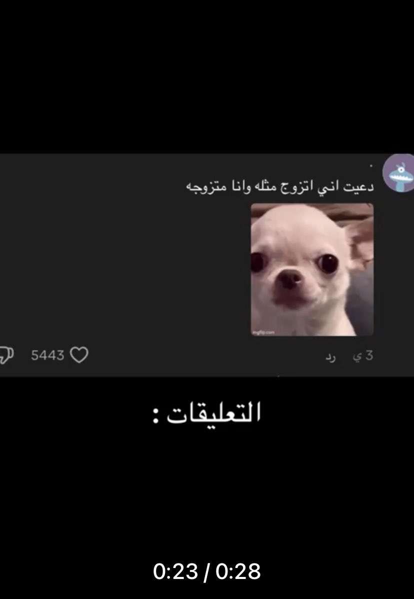 R11hed's tweet photo. @sara14021997 انتبهو لطلعاتها ذي https://t.co/kraVmdlJ1h