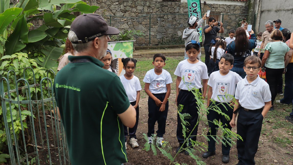 duquegustavoS's tweet photo. Presentamos a la primera promoción de Brigadistas Ambientales de #Chacao. 

​Gracias a nuestro equipo de @ambientechacao por este importante proyecto. 

Para celebrar, nuestros niños tuvieron un momento súper especial haciendo su primera siembra en el Parque La Salle de La Floresta. 🌳👏