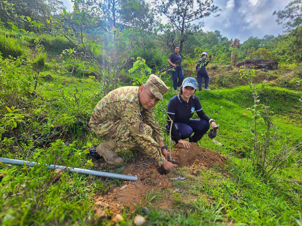 FUERZARMADASV's tweet photo. Nuestros soldados participaron en una jornada de reforestación mediante la siembra de 1,000 árboles en 44 hectáreas de terreno de las Áreas Naturales Protegidas Peñón de Cayaguanca, en el cantón El Rosario, San Ignacio, Chalatenango Norte, y La Angostura, en el distrito de El Paraíso, Chalatenango Centro.