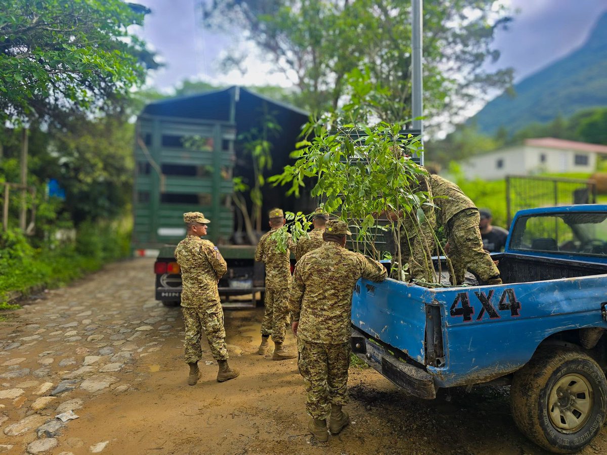 FUERZARMADASV's tweet photo. Nuestros soldados participaron en una jornada de reforestación mediante la siembra de 1,000 árboles en 44 hectáreas de terreno de las Áreas Naturales Protegidas Peñón de Cayaguanca, en el cantón El Rosario, San Ignacio, Chalatenango Norte, y La Angostura, en el distrito de El Paraíso, Chalatenango Centro.