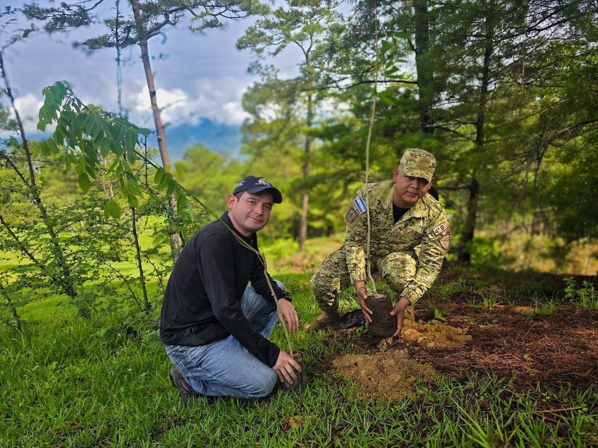 FUERZARMADASV's tweet photo. Nuestros soldados participaron en una jornada de reforestación mediante la siembra de 1,000 árboles en 44 hectáreas de terreno de las Áreas Naturales Protegidas Peñón de Cayaguanca, en el cantón El Rosario, San Ignacio, Chalatenango Norte, y La Angostura, en el distrito de El Paraíso, Chalatenango Centro.