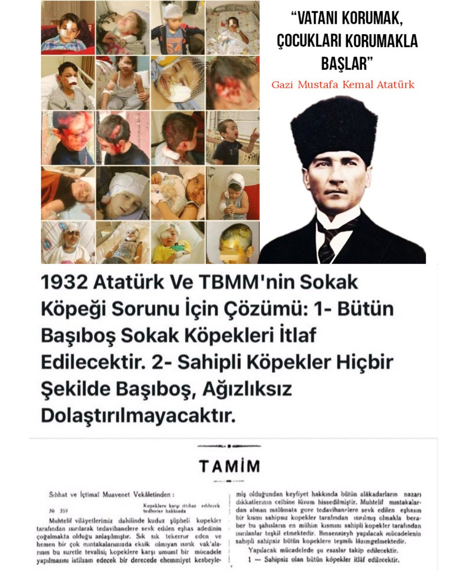 Bulent__K's tweet photo. @LilithGraceGerd @joker74joker @kulliyatX @BulutGulcuN Osmanlı'da bütün sokaklar başıboş köpek doluydu köpek kutsama saçmalığından hastalık ve pislikten geçilmiyordu, o zaman da köpeklere tapan itperestler vardı beslemeci, Atatürk gereğini yaptı Batı gb sorunu en uygun şekilde çözdü halen Avrupa bu şekilde uygulamaya devam ediyor. https://t.co/97oyiWk4K6