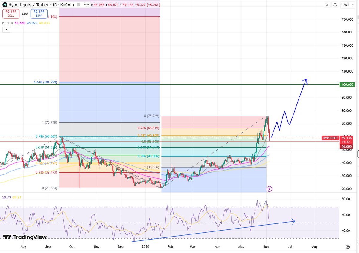 NetHogger's tweet photo. $HYPE 
$100 next 
established low at $56.67 https://t.co/sVuiFrr6un