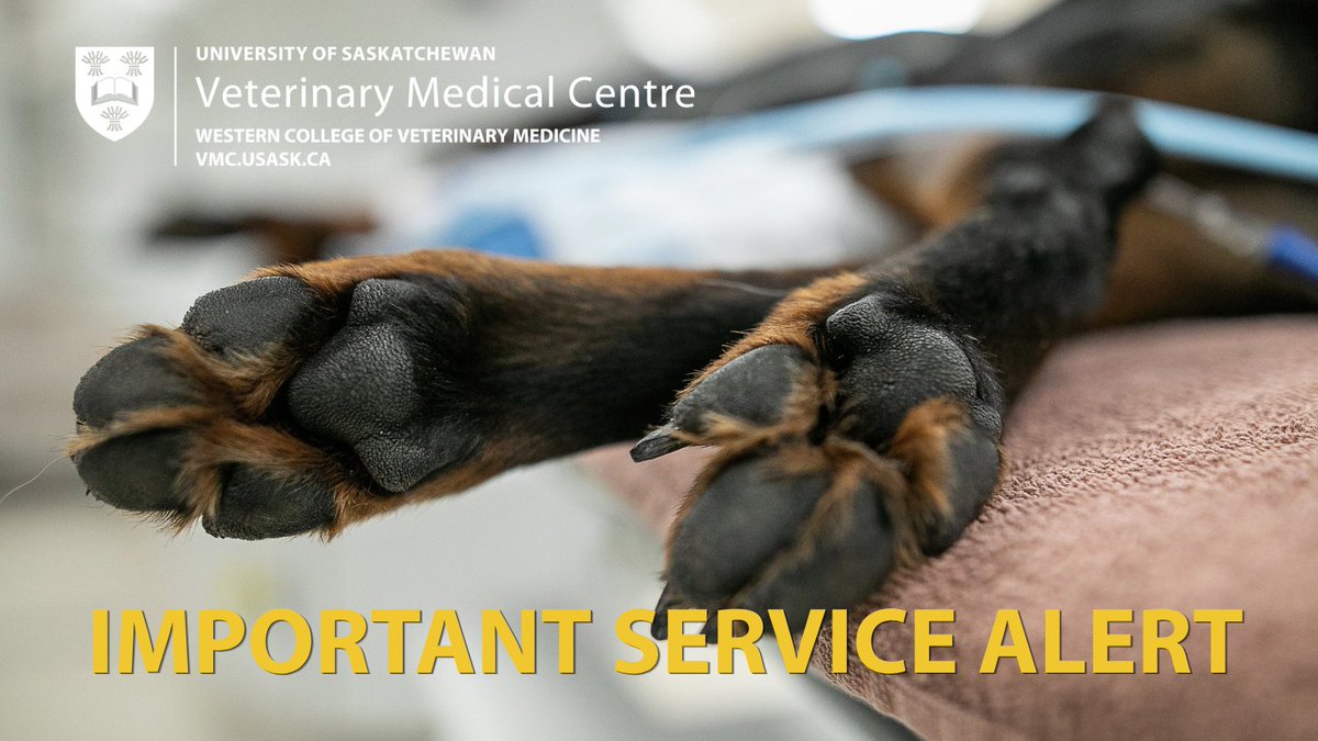 WCVMToday's tweet photo. ‼️ SERVICE ALERT: due to a high caseload, the #WCVM Veterinary Medical Centre (VMC) must temporarily reduce services in small animal emergency and critical care, as of June 5. 

Call 306-966-7126 before bringing your pet to the VMC. Visit https://t.co/4Ww5lRJNAC for details. https://t.co/N6AR9g5MaY