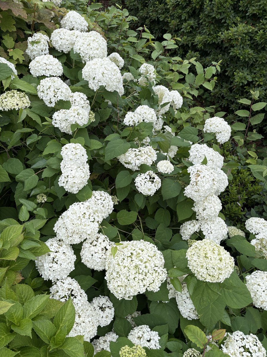 ksm5591's tweet photo. https://t.co/PotifDe2lF