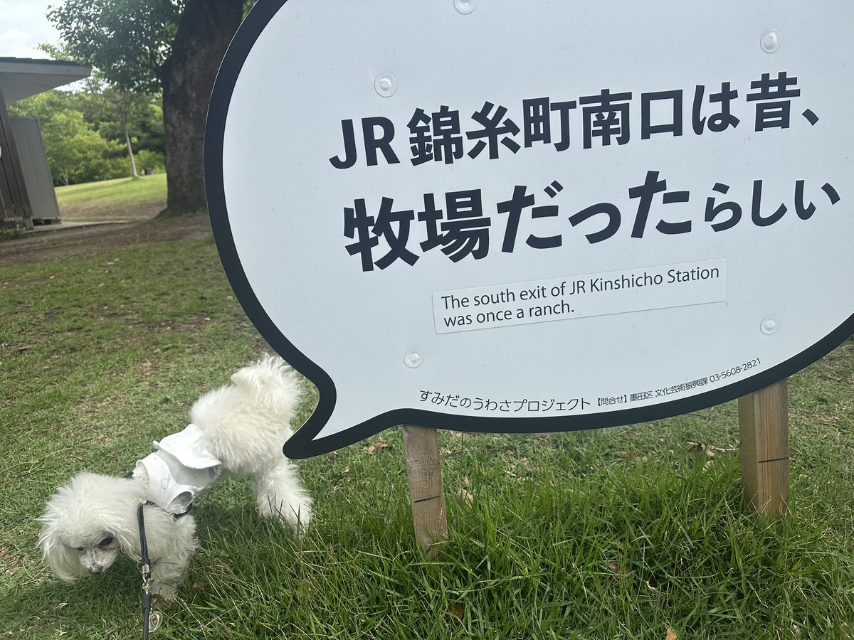 D51P's tweet photo. 愛犬によると錦糸町駅は昔牧場だったようだ https://t.co/DObxjDvbig