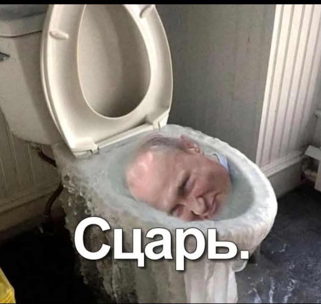 Vladimir tweet media