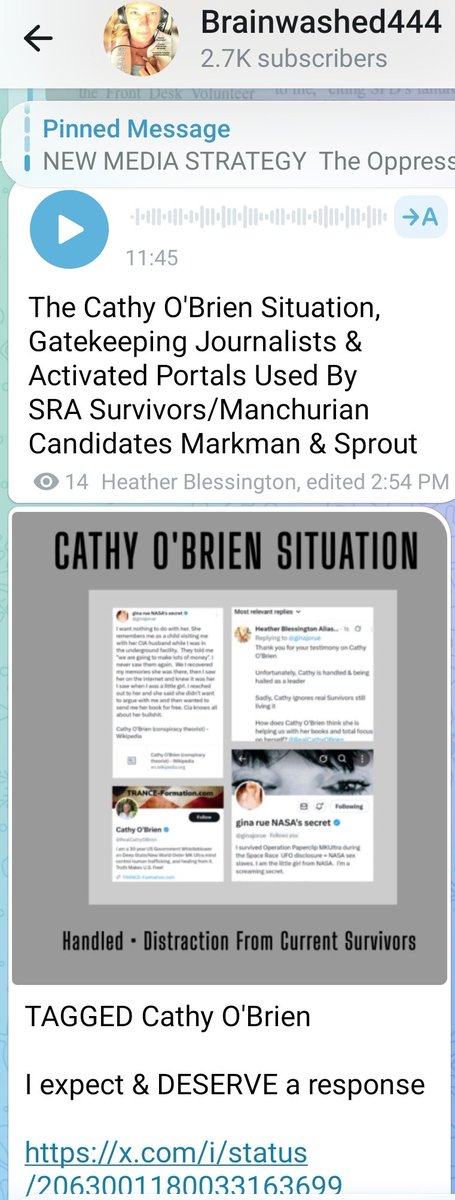 HBlessington's tweet photo. Cathy O'Brien @RealCathyOBrien

This is an audio message for you
https://t.co/1bEPSz7XFv

@ginajorue

GLOBAL INTELLIGENCE AGENCY 
@unitednetwork24

PURE BLOOD NETWORK 
Media Investigations Rescue 
Exclusively Telegram Brainwashed444 https://t.co/9vWRxQHe3X