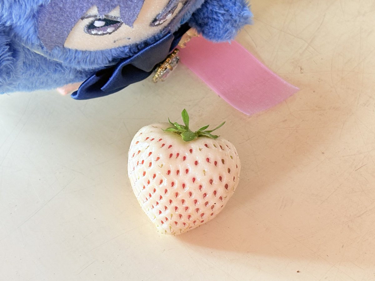 kurage3magic's tweet photo. 白いちご収穫！ハートの形してる🍓 https://t.co/5rMwOqSJ4R