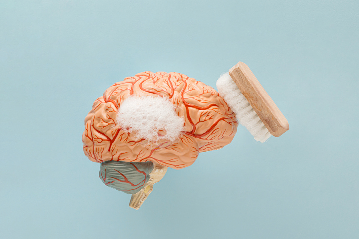 HWBulletin's tweet photo. Your brain has a system for taking out the garbage...

https://t.co/OjxHpG4eh9 https://t.co/uKxnOPdpFC
