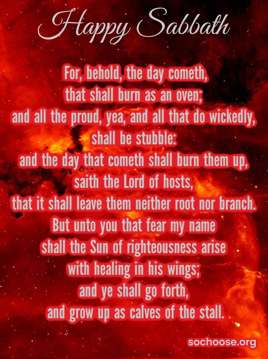 GraceAndMercy_7's tweet photo. For, behold, the day cometh, that shall burn as an oven; and all the proud, yea, and all that do wickedly, shall be stubble: and the day that cometh shall burn them up, saith the Lord of hosts, that it shall leave them neither root nor branch. But...
https://t.co/iSCMRt4Cub https://t.co/0ib2Oc1L8n