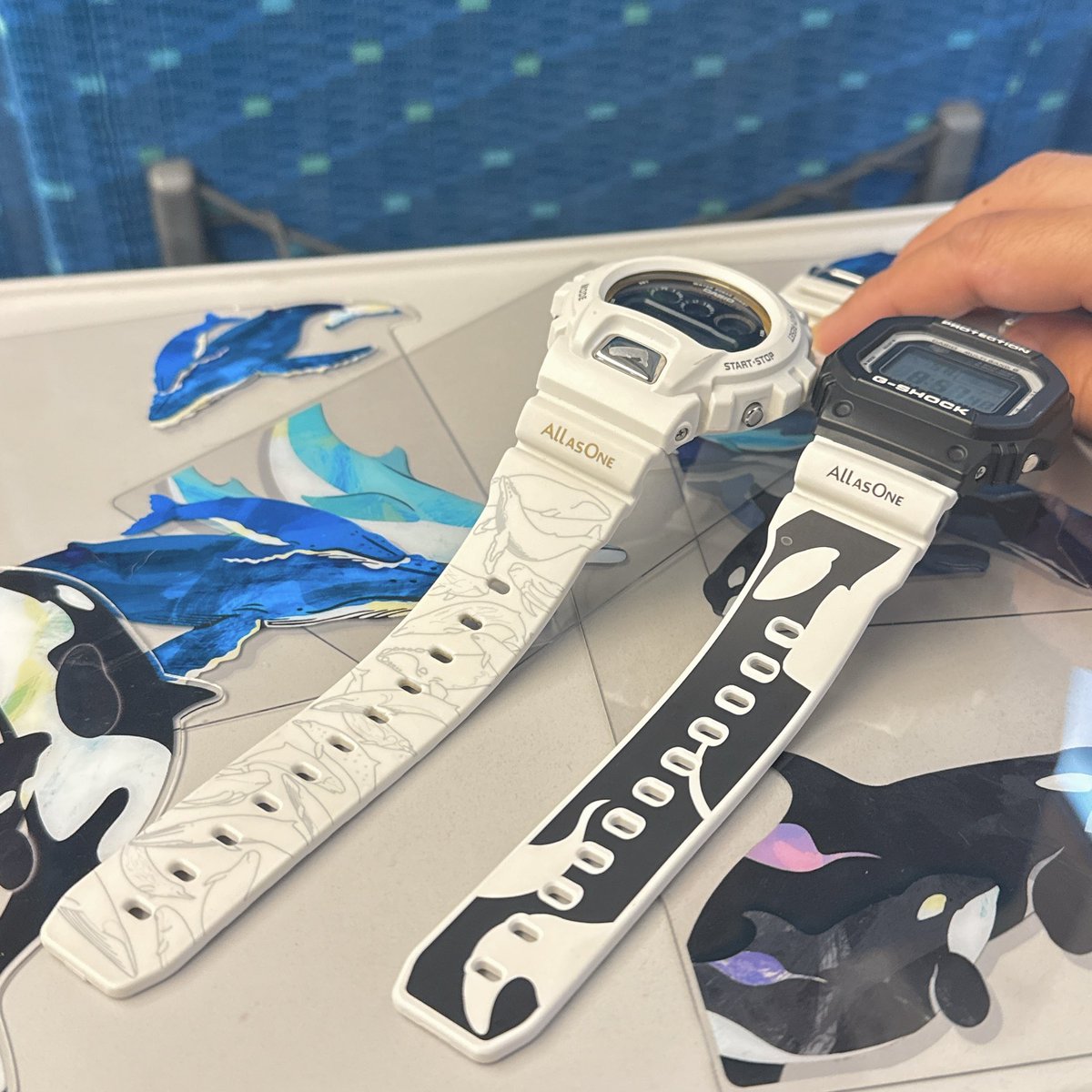 美品　G-SHOCK デジタル　イルクジ　オルカ　シャチ デザインさせて頂いたG-SHOCKイルクジモデル。左か2024年モデル。30種