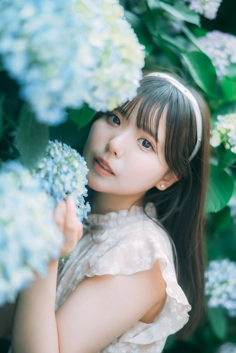 setohimaridayo's tweet photo. 去年の紫陽花。 https://t.co/d4ZfI93H8Q