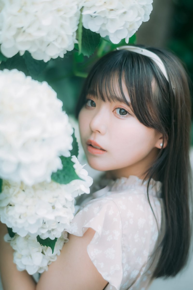 setohimaridayo's tweet photo. 去年の紫陽花。 https://t.co/d4ZfI93H8Q