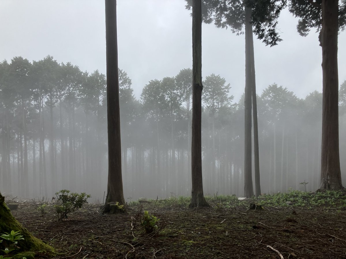 minobusanRW's tweet photo. おはようございます(*^^*)
本日の山頂は幻想的な風景となっており、気温も低めとなっています❗️
展望食堂ではさわやかフェア開催中ですので是非ご利用下さいませ😊
皆様ご来場をお待ちしております🤗
#身延山ロープウェイ
#身延山
#amazingview
#japantrip https://t.co/QxwnEMHI7a