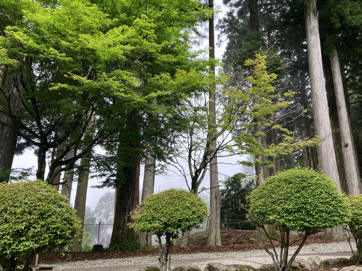 minobusanRW's tweet photo. おはようございます(*^^*)
本日の山頂は幻想的な風景となっており、気温も低めとなっています❗️
展望食堂ではさわやかフェア開催中ですので是非ご利用下さいませ😊
皆様ご来場をお待ちしております🤗
#身延山ロープウェイ
#身延山
#amazingview
#japantrip https://t.co/QxwnEMHI7a