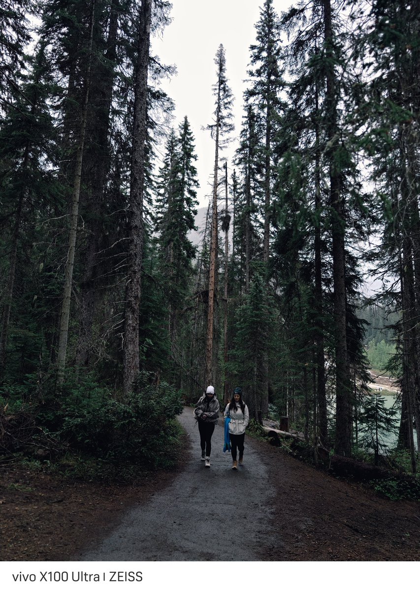 Ay_Ledris's tweet photo. "Random shots From Emerald Lake  and Lake Louise, The Canadian Rockies." 🇨🇦☔
.
#vivox100ultra #shotonvivo #landscapephotography #canadianrockies #yohonationalpark #lakelouise #lakeemerald
.
@Vivo_GLOBAL @Snapdragon https://t.co/awZNRYgsrb