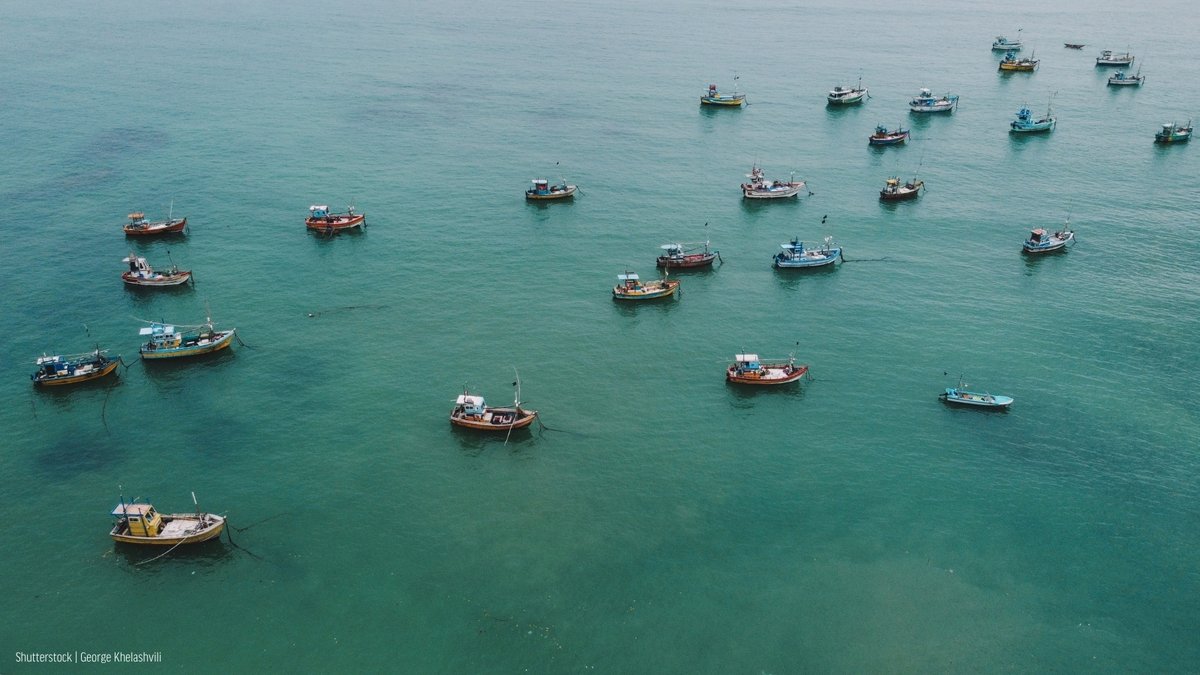 oceana's tweet photo. Your seafood shouldn't be a product or forced labor or illegal fishing.

If passed, the Fighting Foreign Illegal Seafood Harvests (FISH) Act would crack down on bad actors and help stop illegally caught seafood from entering the U.S.

Take action: https://t.co/FoOpxIkmOG #IUUDay https://t.co/AvjC7KZCDu