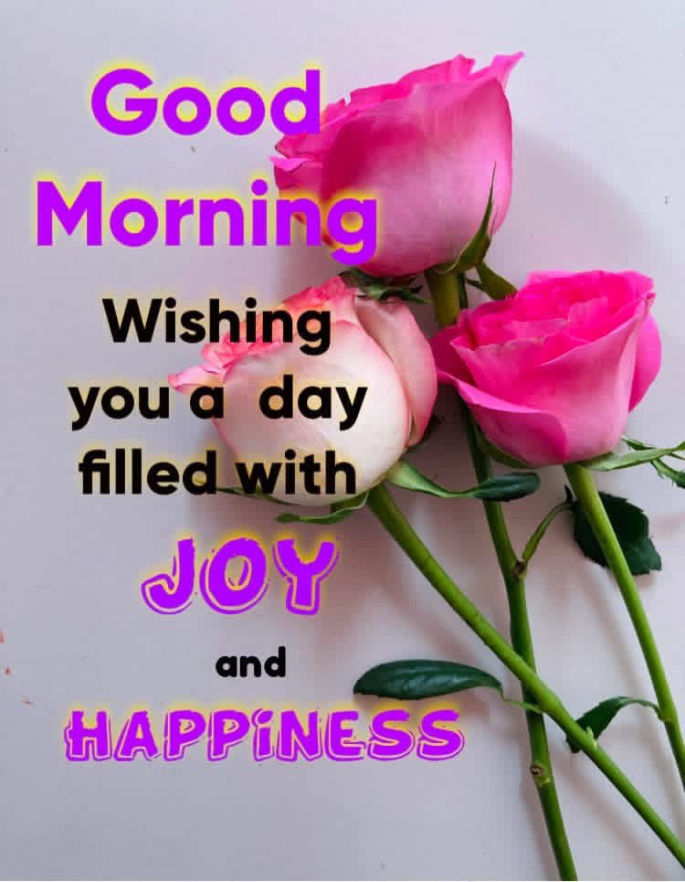 Gmissdior0426's tweet photo. Өглөөний мэндээ Эрхэм #X-үүд🥰🥰🥰Амралтын өдрөө аз жаргалаар дүүрэн өнгөрүүлээрэй. 🥰🥰🥰
#GoodMorning 
#GoodMorningEveryone 
#GoodmorningtTwitterWorld 
#GoodMorningXFriends https://t.co/RQZQkOHhbP