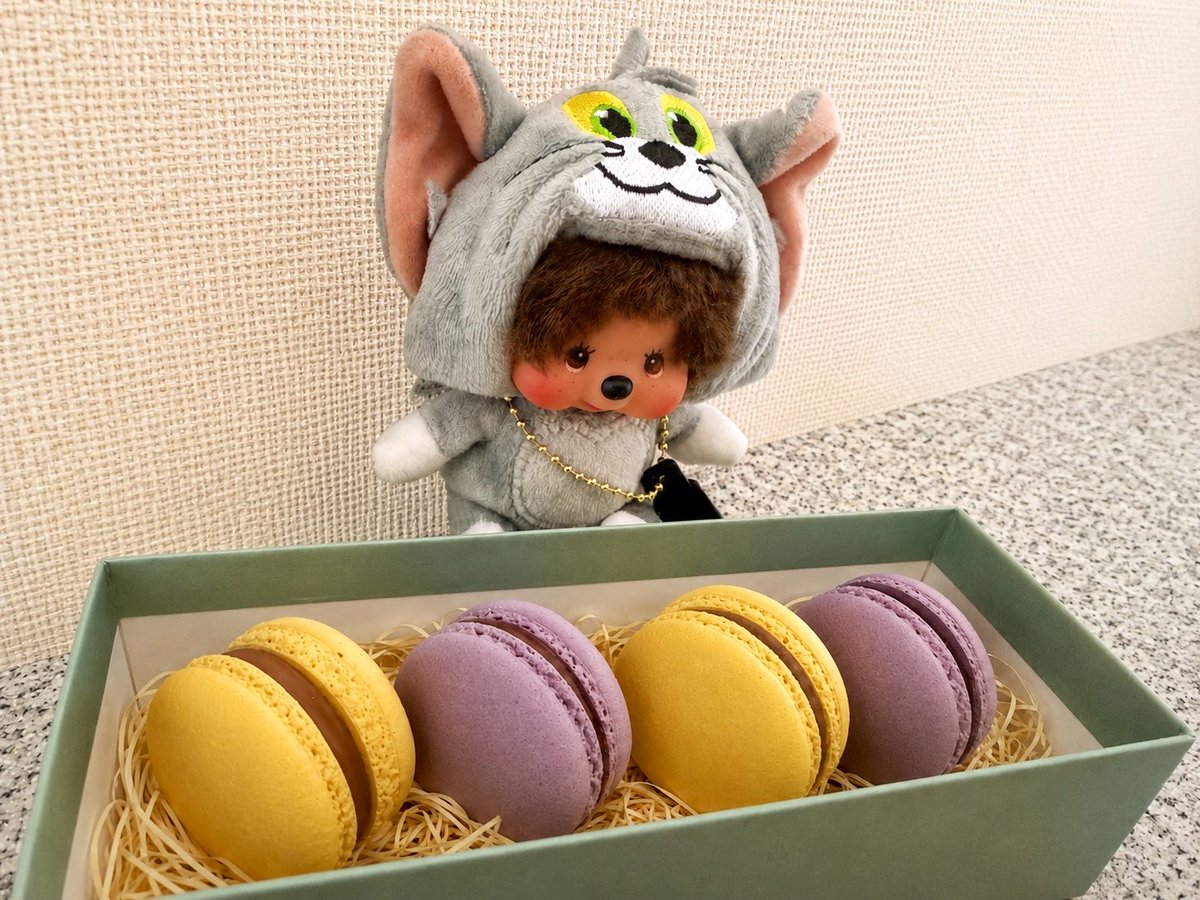 qwanon8888's tweet photo. 🧸✨
お姉ちゃん(人間)からお土産をもらったよ💛
「マカロニのおともだち?」とママに聞いたらフランスから来たお菓子だよと教えてくれたの
🇫🇷
ん?
カリッでもないし、
フワッでもないし、
どういうこと?!!
あまくてやさしくて、幸せな気持ちになったよ💛
#Dining33 #マカロン
#Monchhichi https://t.co/jGDe9KQLcL