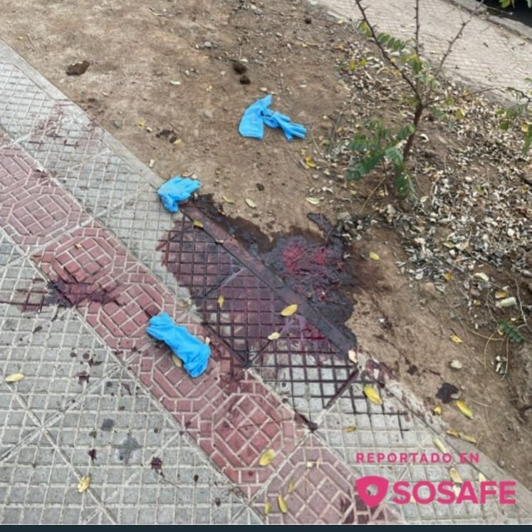 Alpicinoguy's tweet photo. Oh, hueón, los ratis dejaron caleta de guantes esparcidos por la calle. Es increíble. Chile parece haber perdido cualquier noción de rigor. Todo se hace con una mezcla de improvisación, descuido y conformismo que atraviesa instituciones, profesiones y clases sociales por igual. https://t.co/f2uoAqwFv4