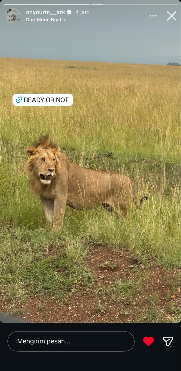 bluchami's tweet photo. masih gak nyangka mark udah aktif lagi di instagram🥹 gemes liat lion🤏🏻 https://t.co/zhD3mg9q9u