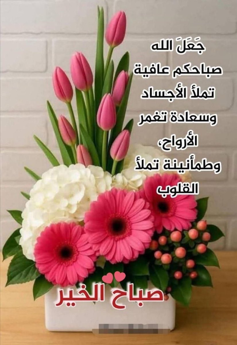 Mohan1Abdullah's tweet photo. إن من البلاء لرحمة .☁️

" كَلَّا إِنَّ الْإِنسَانَ لَيَطْغَىٰ "

قال ابن مفلح - رحمه الله :
لولا المصائب لبطر العبد وبغى وطغى ، فيحميه بها من ذلك ويطهره مما فيه. فسبحان من يرحم ببلائه ويبتلي بنعمائه ".

- الآداب الشرعية . https://t.co/zwWDVRxvMM