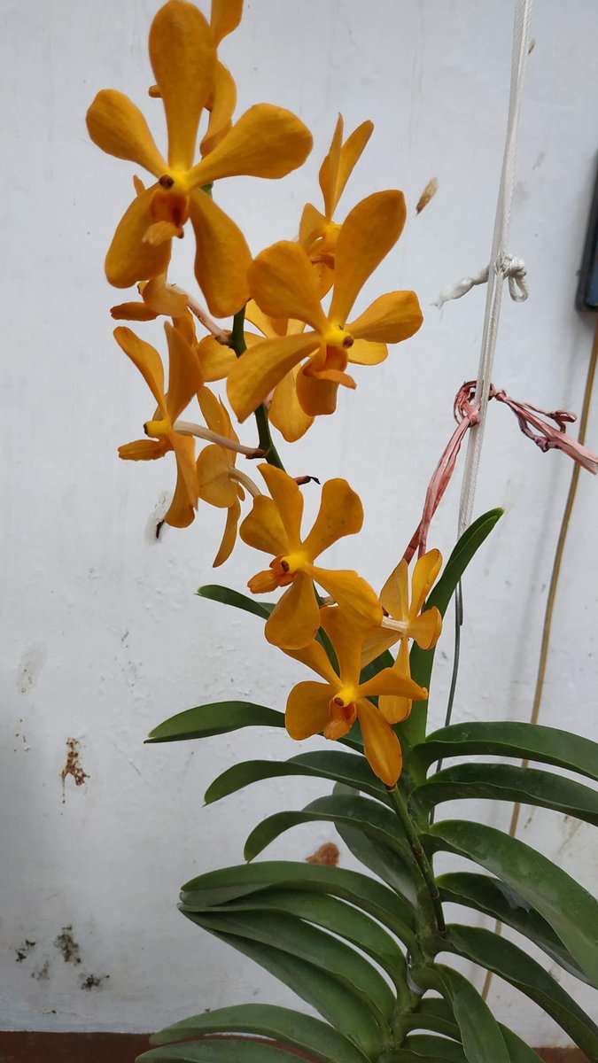 muandzzz's tweet photo. Mari kita kuningkan timeline!
Drop foto yellow-yellow yang ada di galerimu! π»πΌ https://t.co/KVxawFl9mk