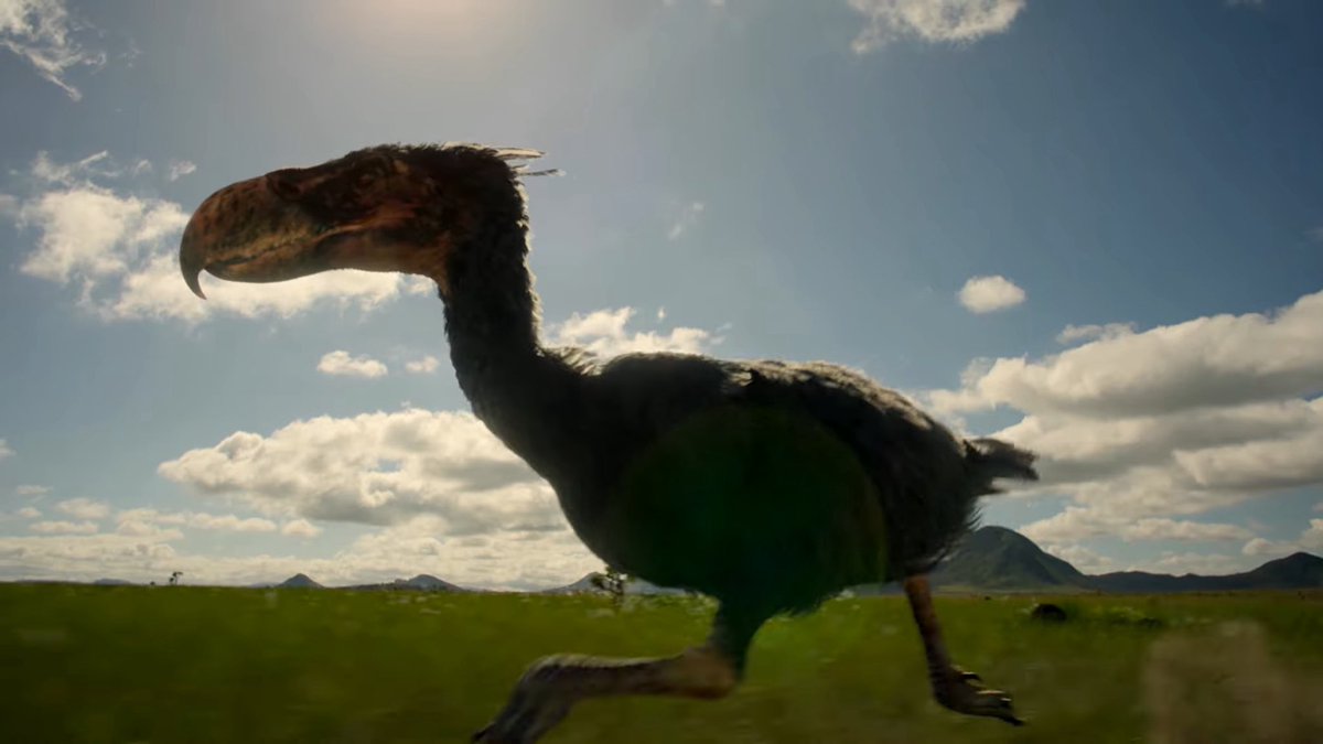 euyartoa21's tweet photo. Their beautiful, terror birds are back once again!

#SurvivingEarth https://t.co/mm618zEID3