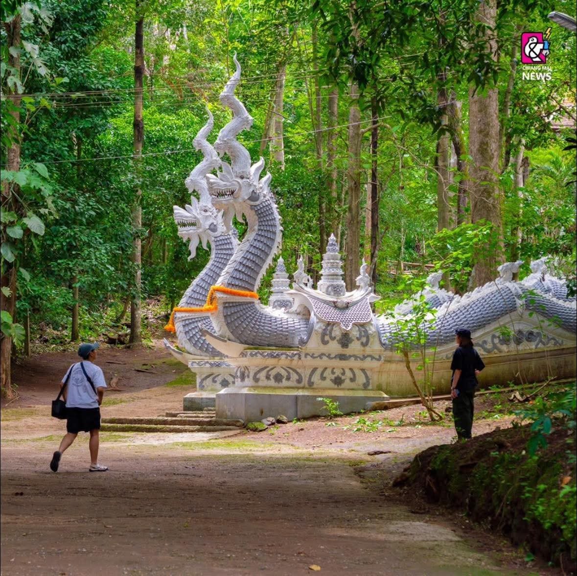chiangmainews's tweet photo. งดงาม สุดอันซีน ‼🙏🍃  "วัดหลวงขุนวิน" วัดเก่าแก่ 700 ปี ท่ามกลางป่าลึก ม่านหมอก โอบล้มด้วยธรรมชาติ
.
"วัดหลวงขุนวิน" ณ บ้านขุนวิน ตำบลแม่วิน อำเภอแม่วาง จังหวัดเชียงใหม่ เป็นวัดที่มีอายุยืนยาวกว่า 700 ปี สวยงามมากด้วยสถาปัตยกรรมแบบล้านนา ท่ามกลางป่าที่ยังคงความอุดมสมบูรณ์ https://t.co/JMOYzhSoQu