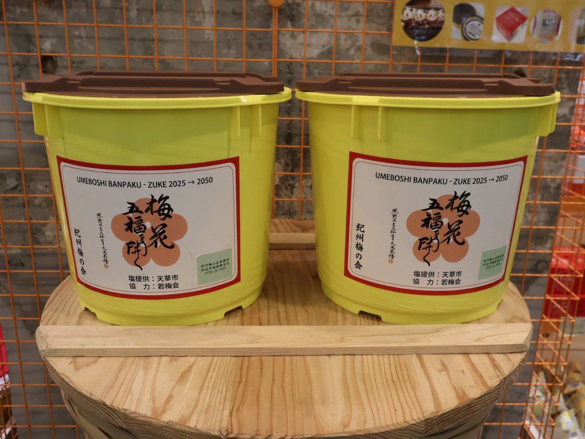 komoda02fbe's tweet photo. 【#イベント情報】
「わかやま紀州館」は「6月6日梅の日」に、紀州梅の会の真砂充敏会長(田辺市長)、同会の大炭敦史副会長(ＪＡわかやま紀南地域本部長)がトップセールスイベントを実施した。

イベントの詳細は公式サイトから↓
https://t.co/SiY0il6m3d

#6月6日は梅の日
#紀州梅の会
#紀州南高梅 https://t.co/NvocYXgwEx