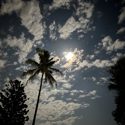 休息了。 tweet media