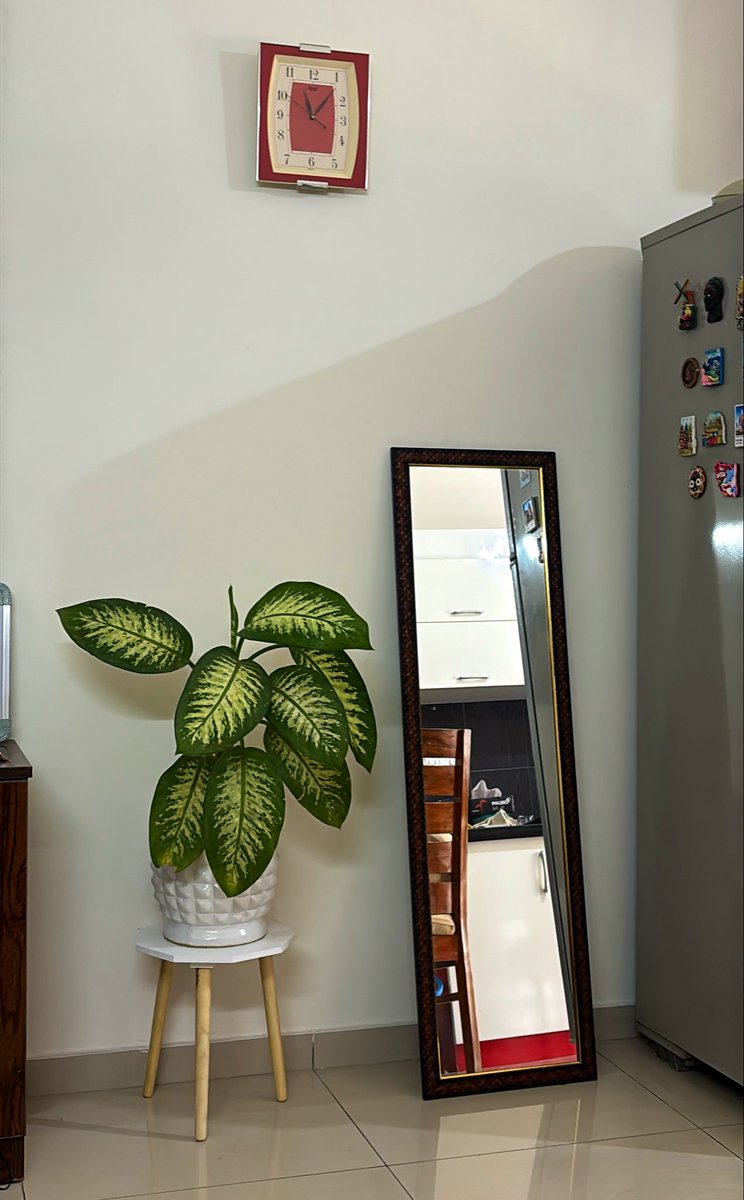 antibioticpig's tweet photo. adulting is being happy getting new plants for your home https://t.co/iyVggyqJ91