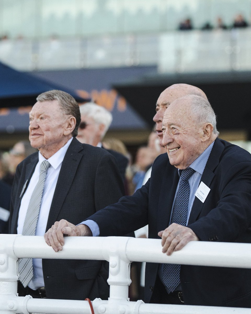 aus_turf_club's tweet photo. Celebrating some of the remarkable long-standing Members today 🙏 https://t.co/Dw6kdaDZ8a