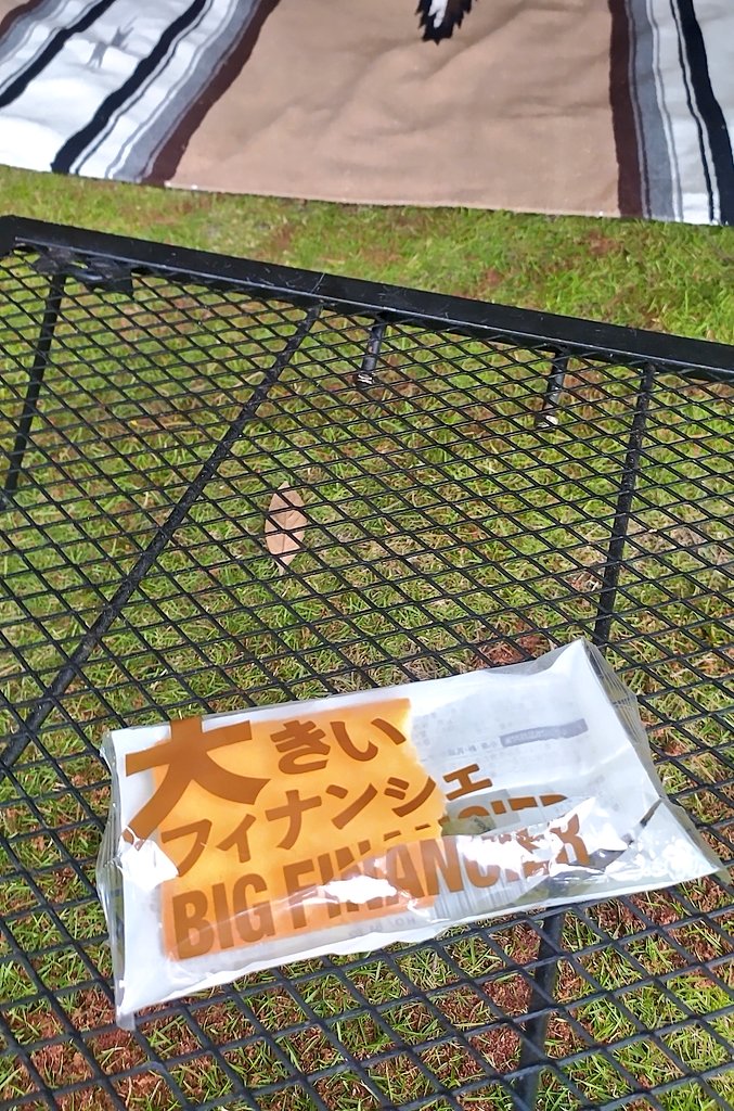 tsuri365's tweet photo. 今日はここでソロ😊 久しぶりに来たがファミリー多いな～☺️  #竜洋海洋公園キャンプ場   #磐田  #アルファtc https://t.co/FQNr7nivW0