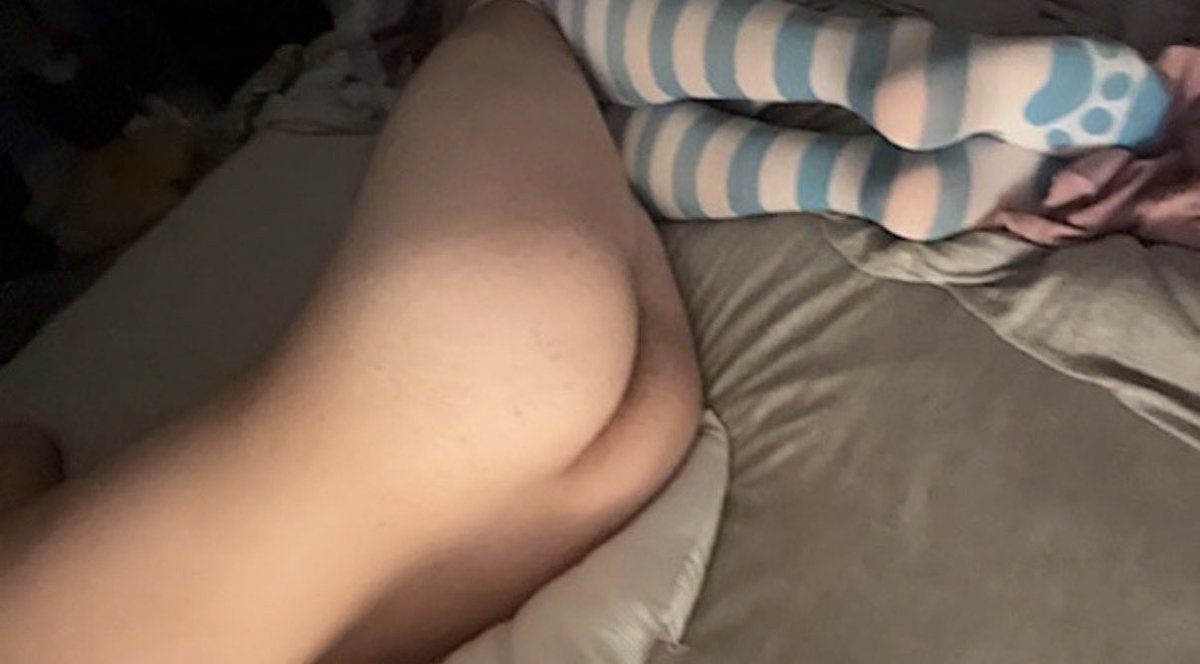 effeminat_boy's tweet photo. rahhh sniff my paws :p https://t.co/chaaosDV9r