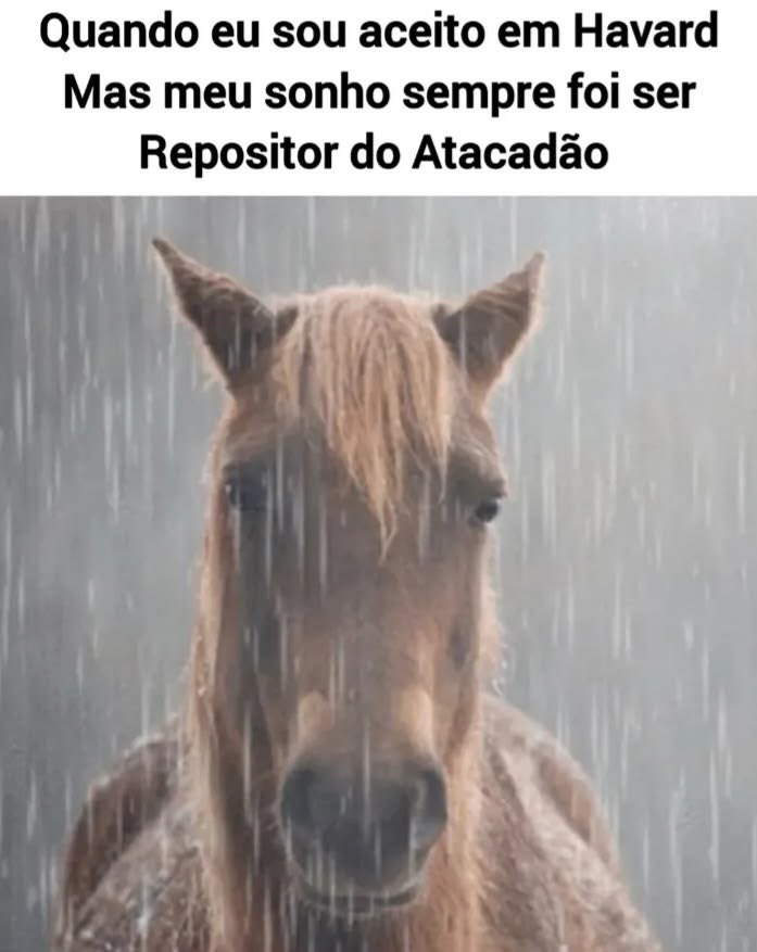 shitpostverdade's tweet photo. https://t.co/VhtOfwva9w