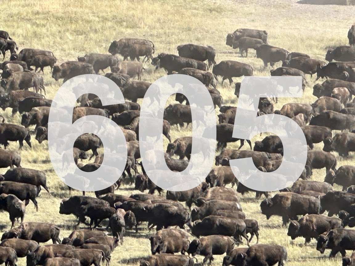 JasonSalamun's tweet photo. From the open skies to the rolling prairies to the beautiful Black Hills, there’s no place quite like South Dakota. 

Happy #605Day everyone! https://t.co/169xkMUurP