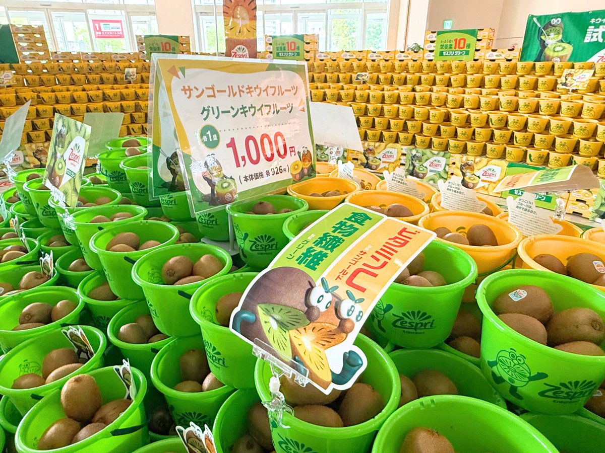 🥝#ゼスプリキウイ試食会2026🥝／／／ #カスミ フードスクエアつくば