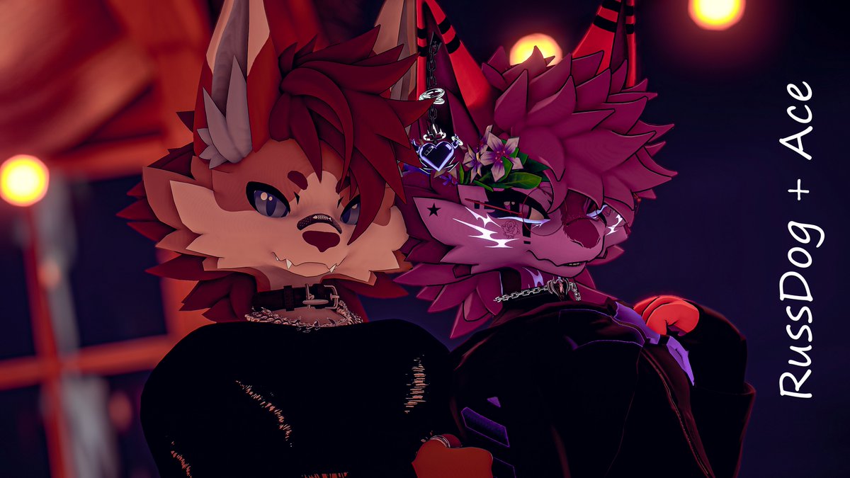 RussDog07's tweet photo. 💜💜 My #1 twin @Ace_The_Floof 💜💜 https://t.co/384F8lzZIe