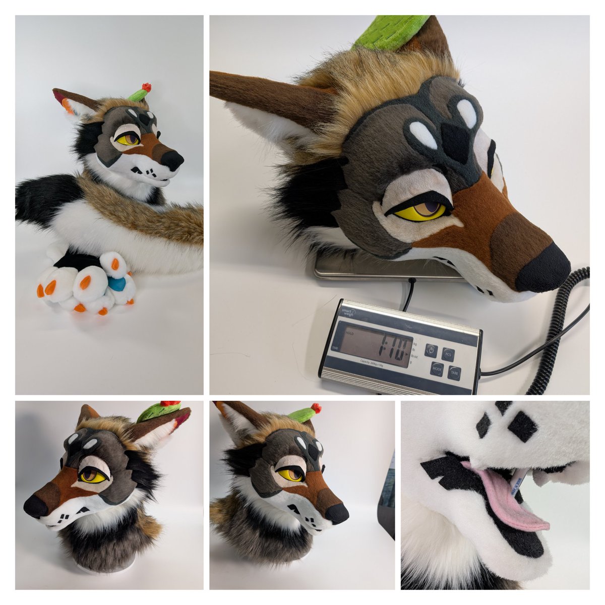 TheInodog's tweet photo. This guy is now up for grabs on the dealers den! https://t.co/bKAElvcyeN