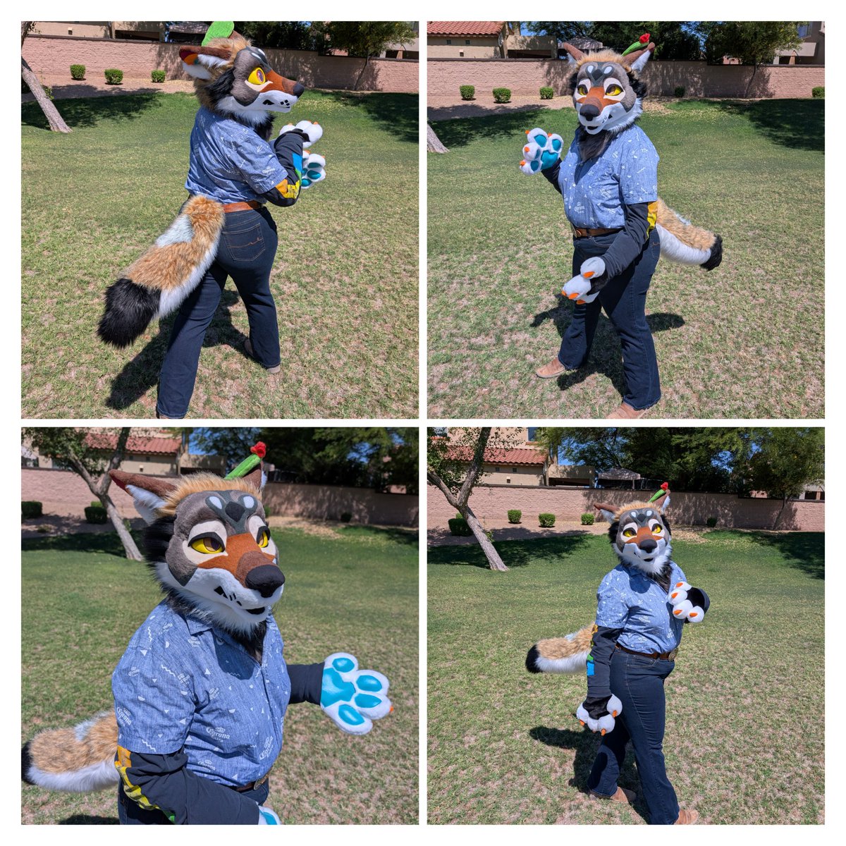 TheInodog's tweet photo. This guy is now up for grabs on the dealers den! https://t.co/bKAElvcyeN