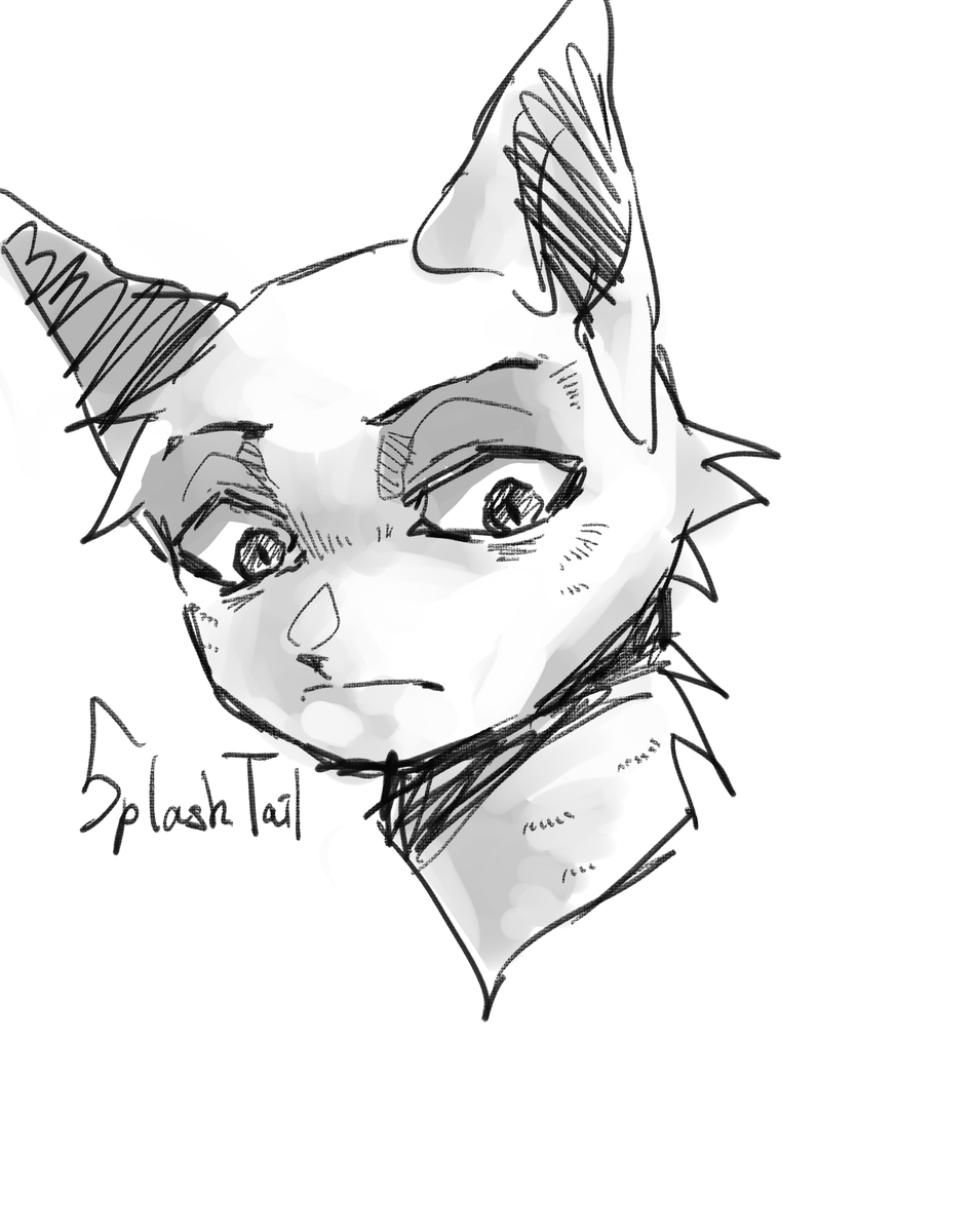 bulbeebul_'s tweet photo. #splashtail https://t.co/reJpj6fATz