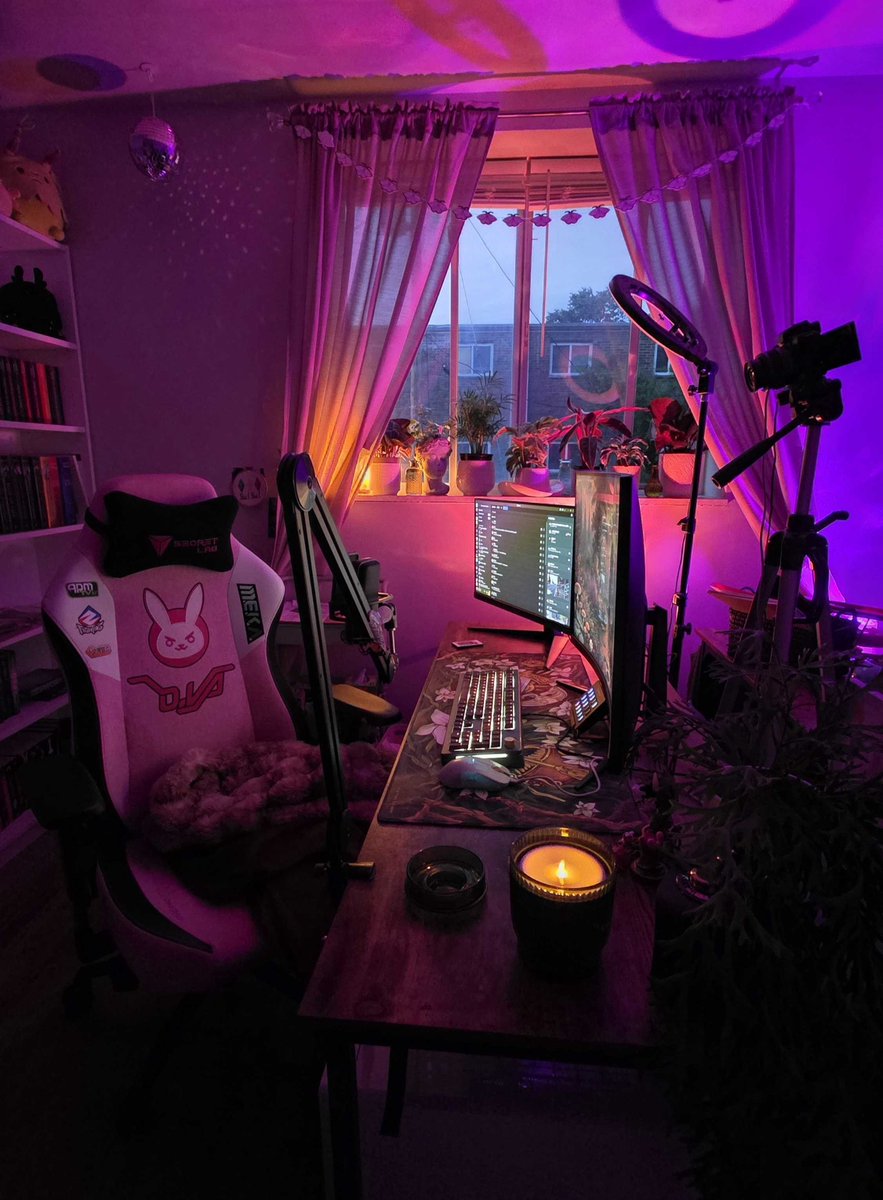 PastelSpellTV's tweet photo. Ok I promise (maybe) I'll slow down on the plant posting but you can't tell me it isn't ✨VIBEY AS FUCK ✨ in here now 😍 https://t.co/SCqYnXGIhJ