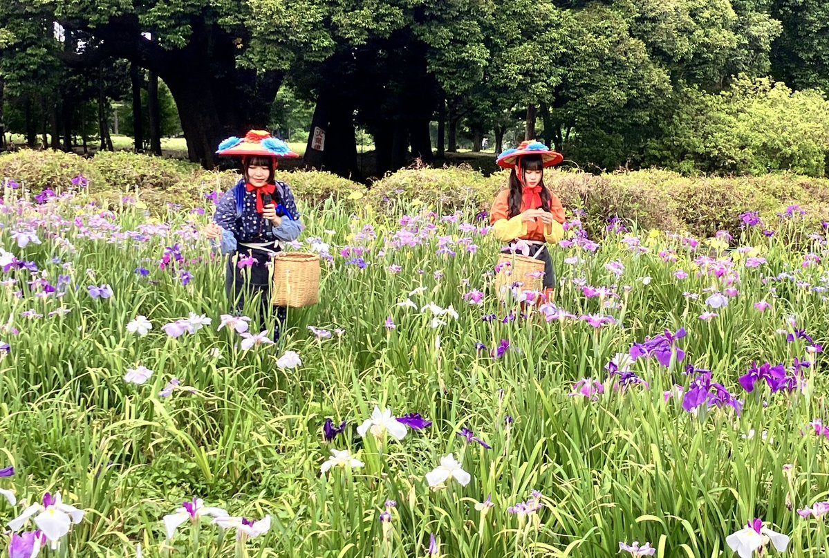 yu62339's tweet photo. 花摘み娘

#Menkoiガールズ https://t.co/OZtoCW317R