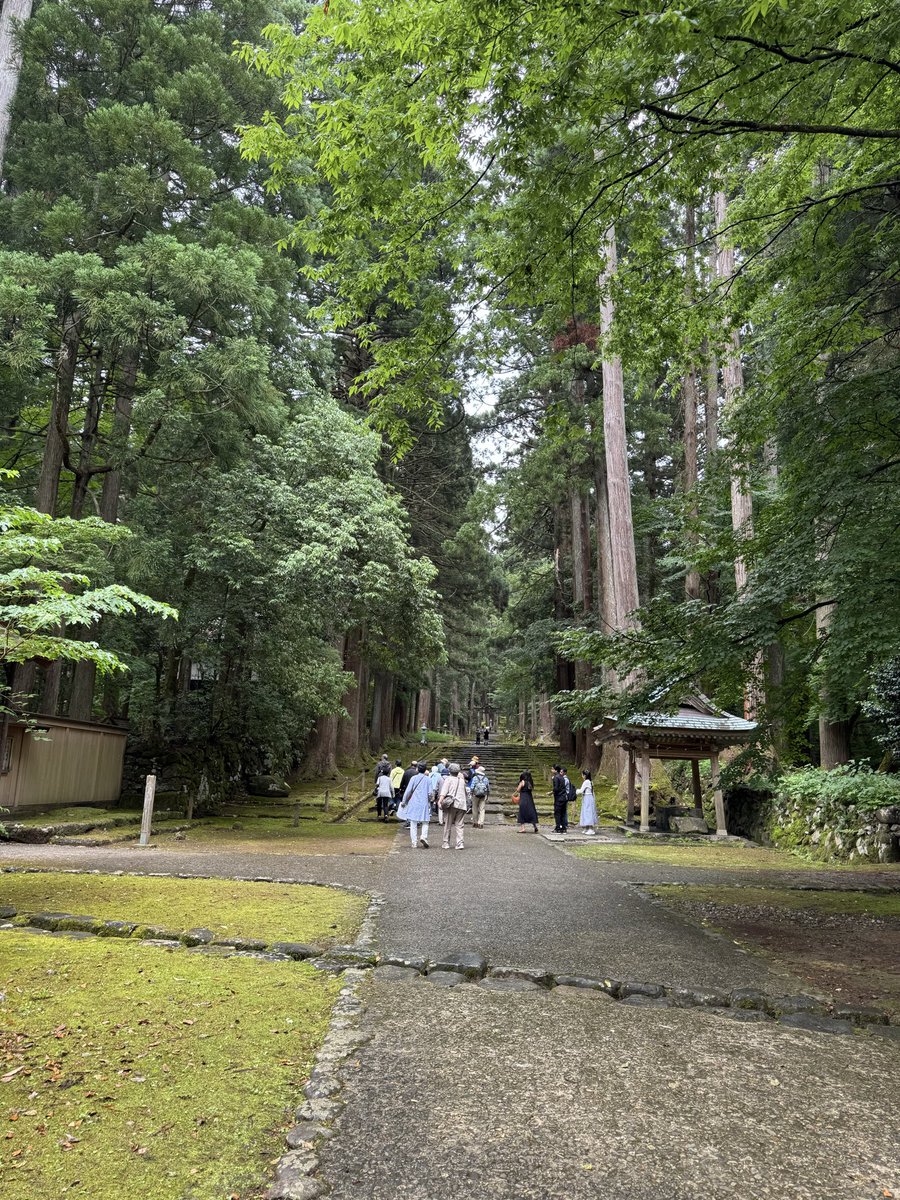 Cocoabe113's tweet photo. 福井県③

白山平泉寺 白山神社

毎朝有志の方々が2時間かけてお掃除してくれてるそうです

2時間も！毎朝！ https://t.co/dgEamPwbBk