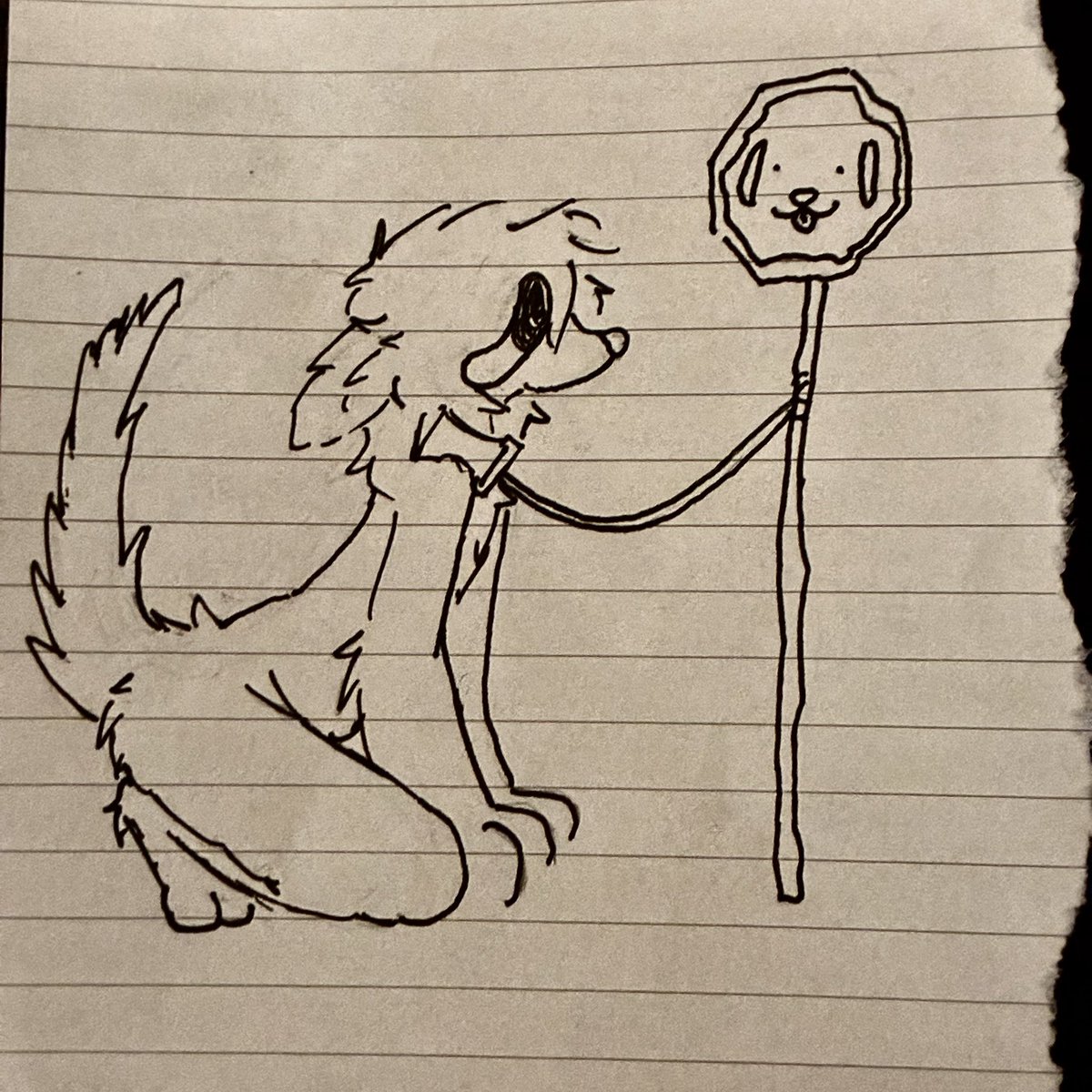 aakuteon's tweet photo. puppy stop https://t.co/7CYfyphlCQ